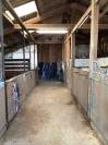 Pension box/paddock &ndash; Foin &agrave; volont&eacute; &ndash; Sorties 7j/7