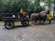 Wagonnette 6-8 places