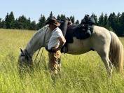 Titan Cheval de Loisir