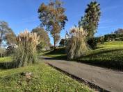 Propriété 184m2 sur 3,5 HA,piscine, dépendances 