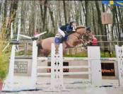 Istruttore di equitazione