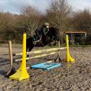 Forest Jump ONC de 2015