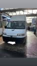 CAMION CHEVAUX 2 places permis b