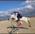 Intero Origine non conosciuta  In vendita 2025 Grigio