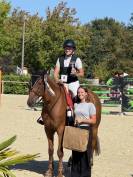 Location hongre CSO Amateur 1/élite