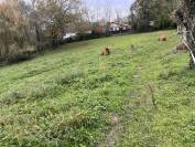 Pension box/pr&eacute; 15 min de Bayonne 