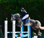 Lusitanien polyvalent, 9 ans