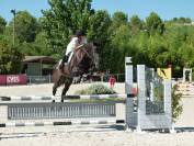 Entier OC possible de castrer 