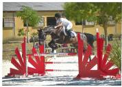 Entier OC possible de castrer 