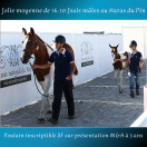 FOAL MÂLE PIE BAI 2025