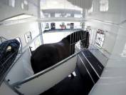 Groom suite Ifor &eacute;venta L