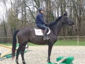 Jolie Hanovrienne 5 ans