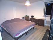 Landes, A vendre propriété équestre avec gites.