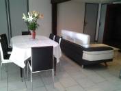 Landes, A vendre propriété équestre avec gites.