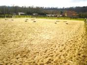 Landes, A vendre propriété équestre avec gites.