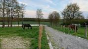1 place en Pension box paddock chez particulier 77