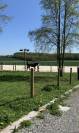 1 place en Pension box paddock chez particulier 77