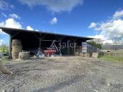 Dairy farm  Calvados