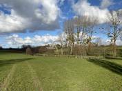 Dairy farm  Calvados