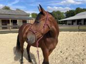 Tiers de pensions Mik