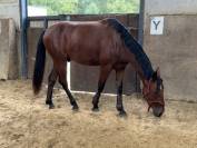 Tiers de pensions Mik