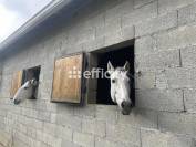 Proprietà equestre In vendita Gers