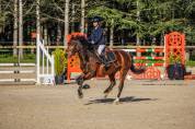 Ponette new Forest 8ans 