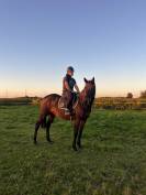 ZARQO PS HONGRE 5 ans