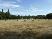 Magnifique propriété sur 15h au nord de Louhans