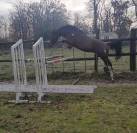 ADORABLE Entier SF de 2012