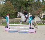 Ponette d assurance vie et top en concours 