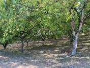 Propriété agricole BIO sur 12ha