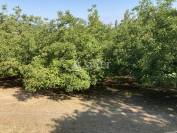 Propriété agricole BIO sur 12ha