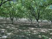 Propriété agricole BIO sur 12ha