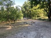 Propriété agricole BIO sur 12ha