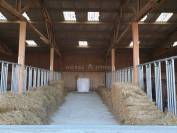 Idéal élevage ou entraînement : domaine équestre 70 ha