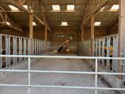 Idéal élevage ou entraînement : domaine équestre 70 ha