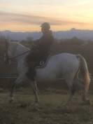 ONC type ibérique, 13ans 