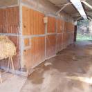 vendita box per cavalli