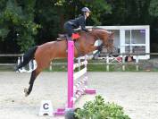 Auto-entrepreneur services équins 