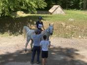 Jument Pur Sang Arabe 12 ans