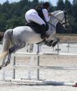 PONEY D sport 