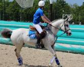 Jument pur sang arabe 147cm