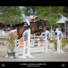 Darkos SODH super cheval d'école inarrêtable  