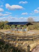 Ecurie Team Shock - Ecurie ouverte et pr&eacute;s