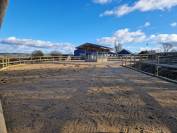 Ecurie Team Shock - Ecurie ouverte et pr&eacute;s