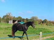 Pension pr&eacute; box