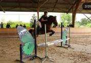 Top poney de sport