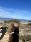 ? Recherche apprentissage BPJEPS 