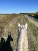 ? Recherche apprentissage BPJEPS 